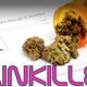 Illustration for article titled The scientific breakthrough that will turn cannabis into the new aspirin